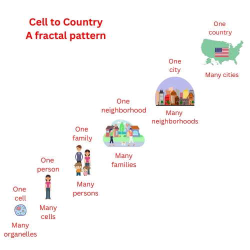 Fractal hierarchy from cell to organ to person to family to city to country, showing self-similar identity patterns at each level