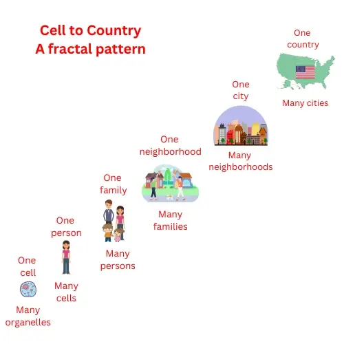 Fractal hierarchy from cell to person to family to neighborhood to city to country